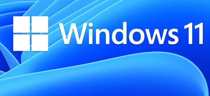 Windows 11 ضҪ