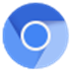 Google Chromium浏览器 V100.0.4891.0 官方版